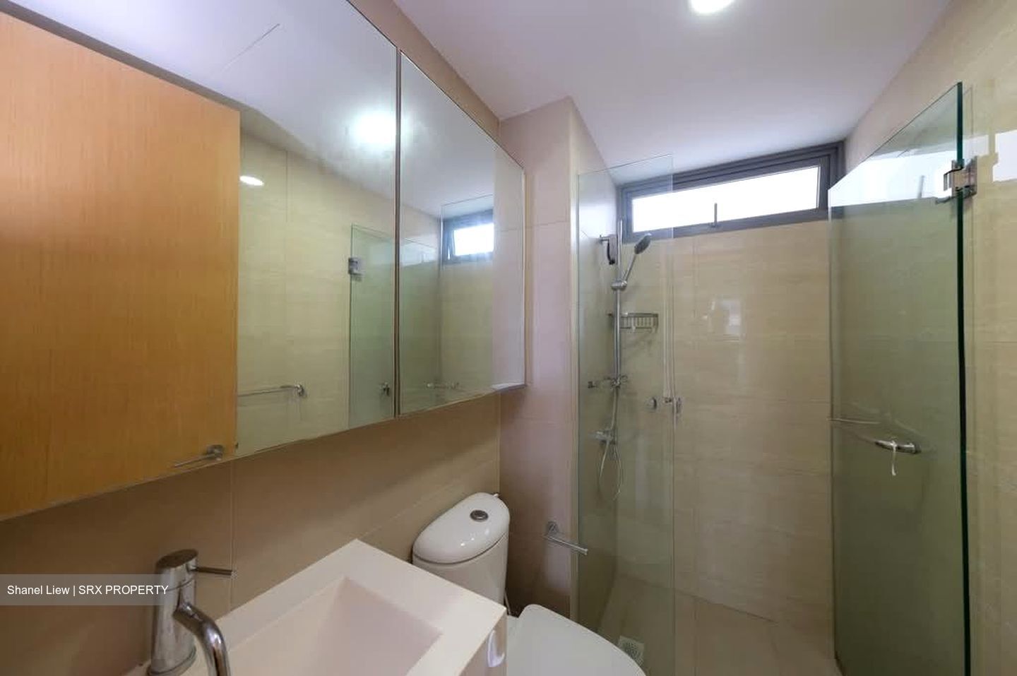 A Treasure Trove (D19), Condominium #574934001